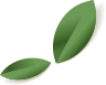 elements-summer-sale-banner-NK5W2VA_leaf_5.png elements-summer-sale-banner-NK5W2VA_leaf_5.png
